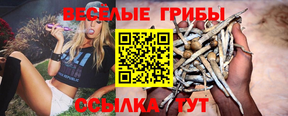 Галлюциногенные грибы Magic Shrooms Краснотурьинск